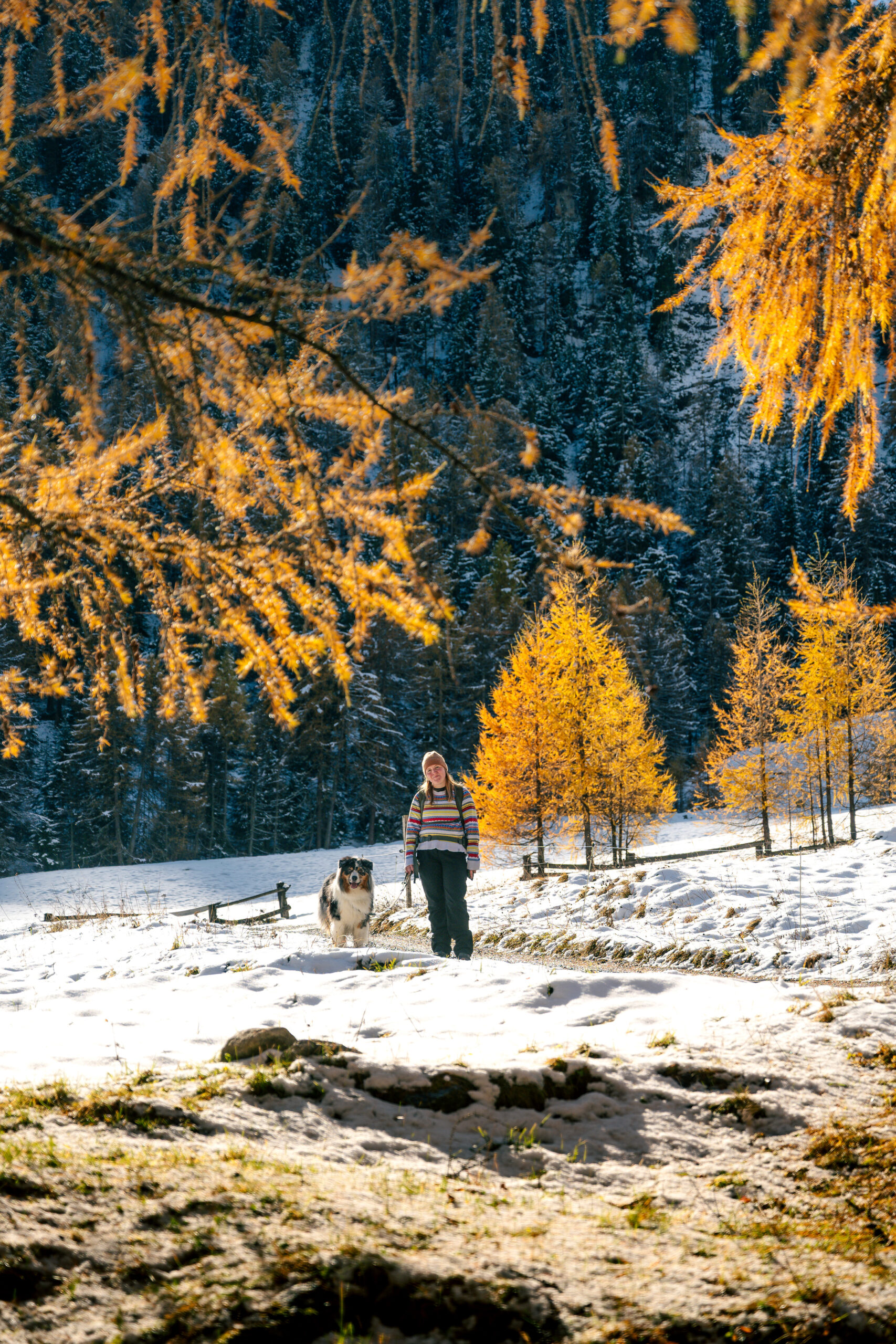 Hund Frau Schnee Herbst Berg Natur Landschaft