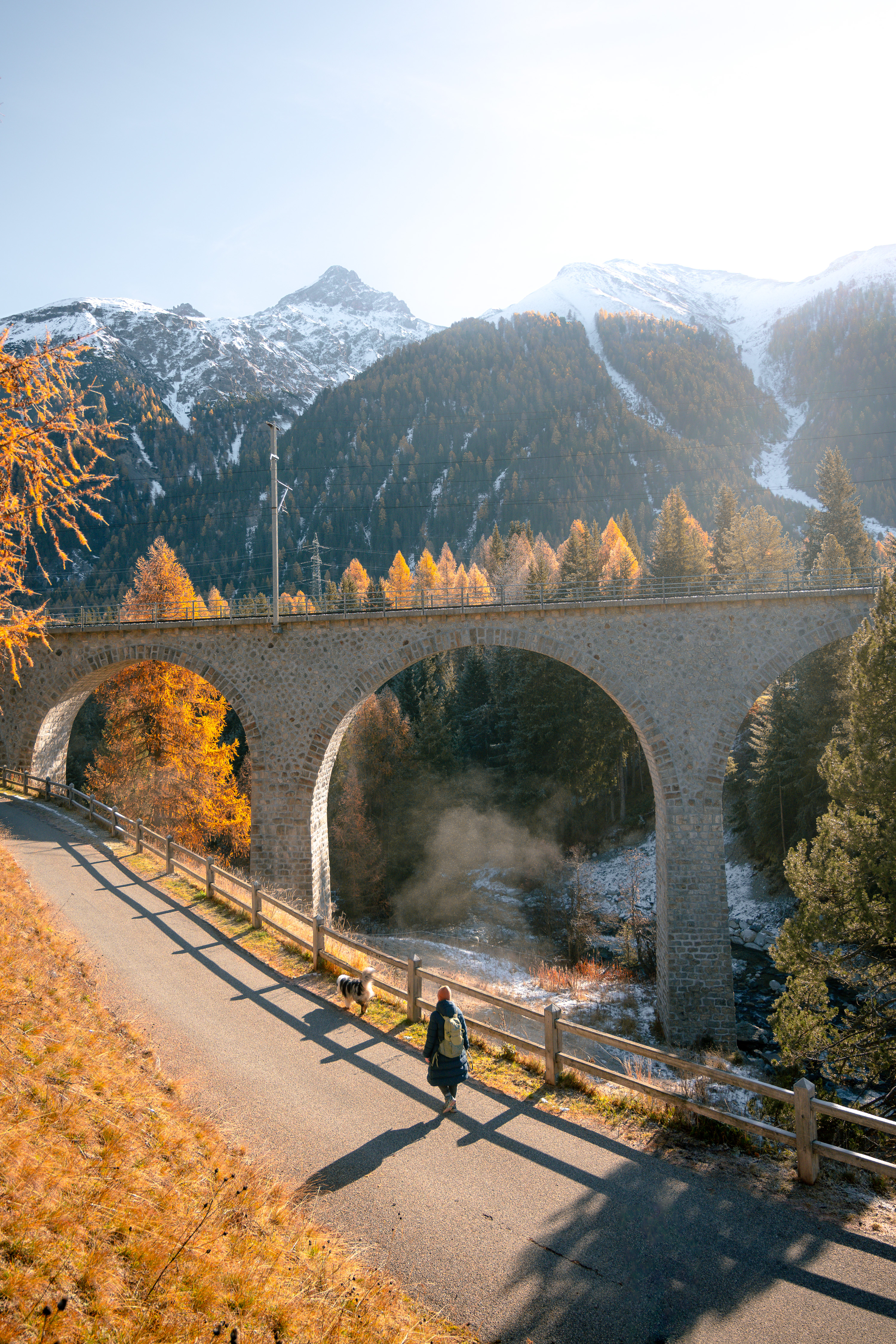 Hund Schnee Herbst Berg Natur Landschaft Brücke