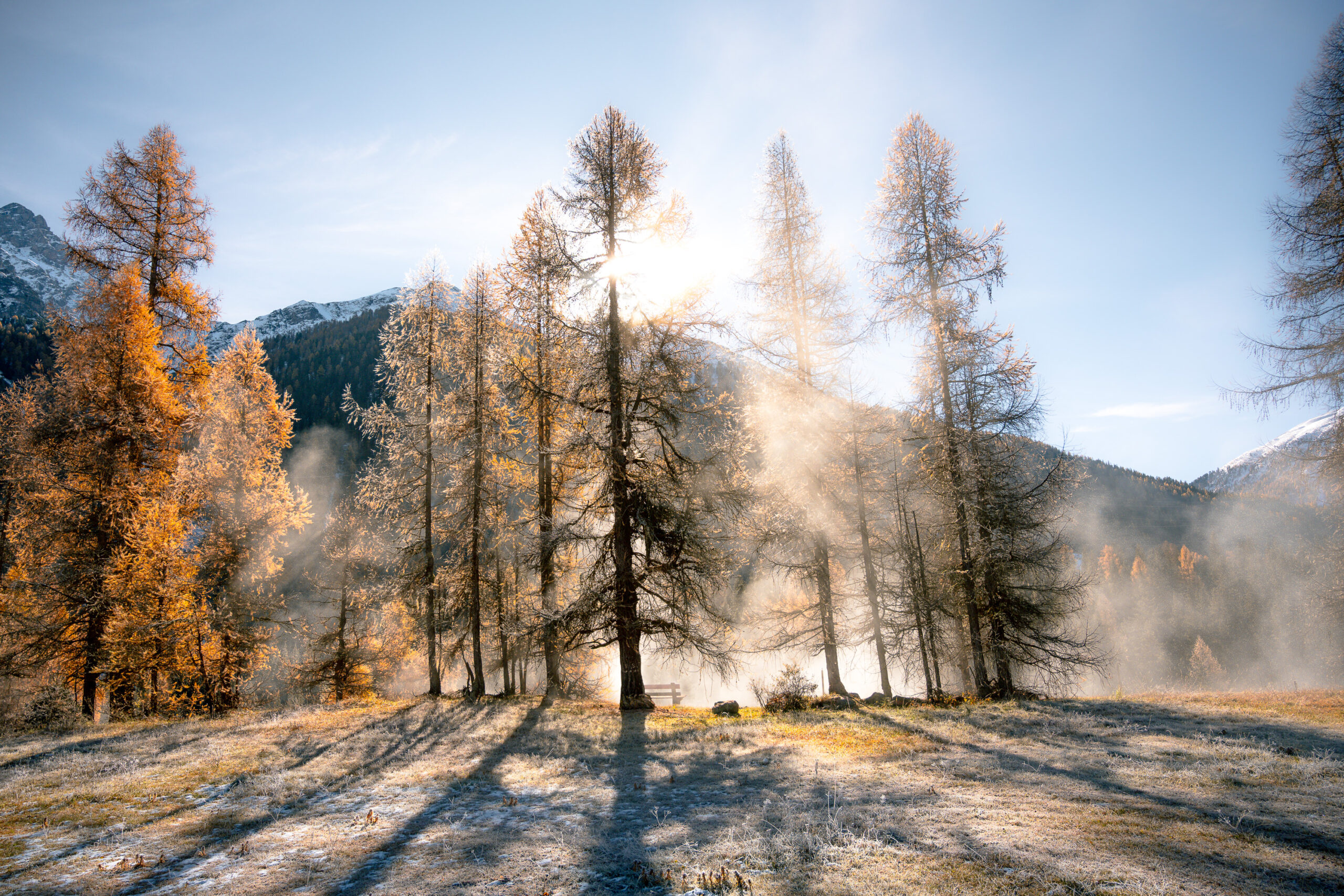 Landschaft Nebel Bäume Herbst Sonne Schnee