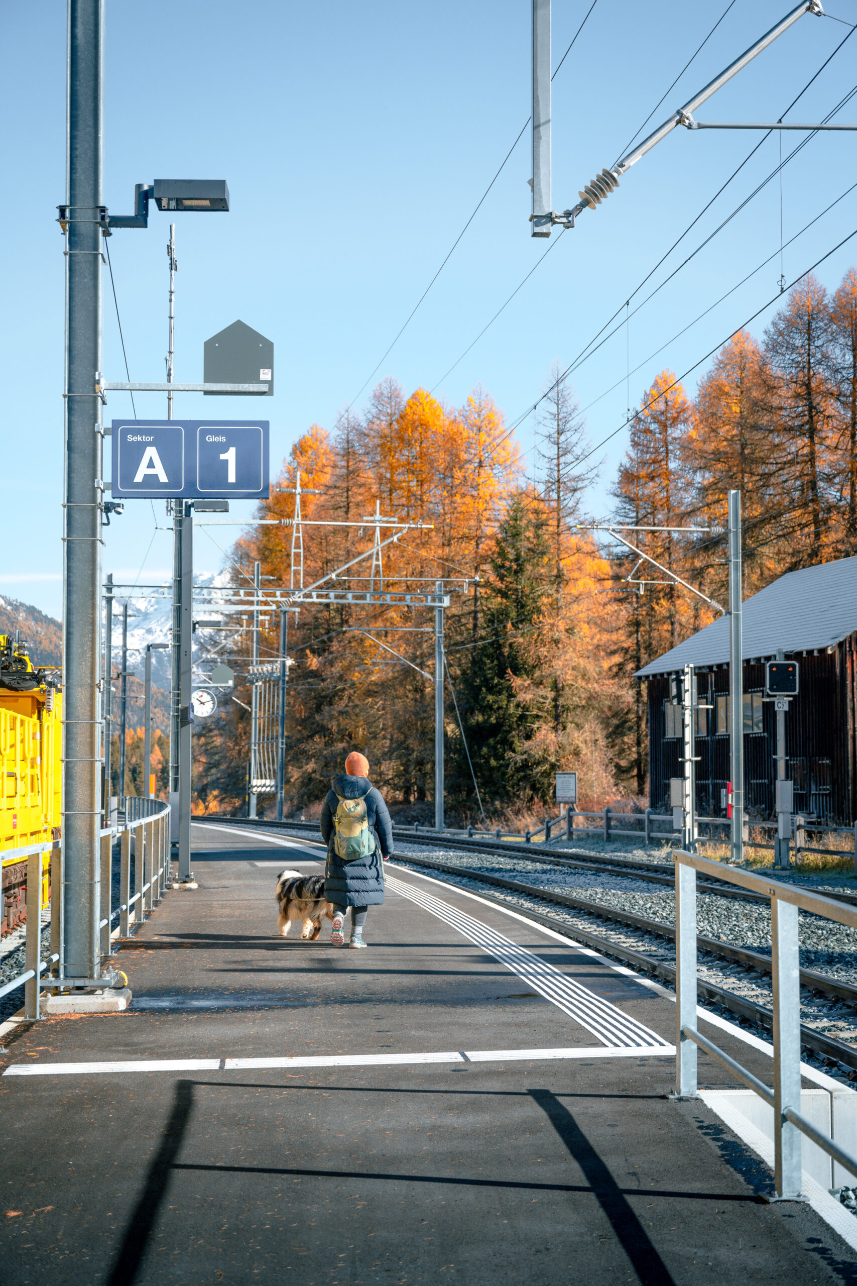 Hund Frau Herbst Bahnhof Gleis Winter