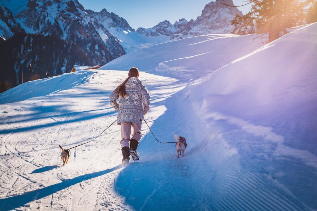 dogs, path, snow, to stroll, human, nature, person, winter