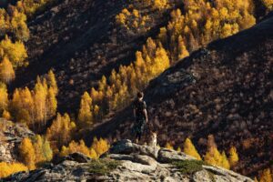 A woman stands with her dog on a rocky hill surrounded by vibrant autumn trees in the mountains.